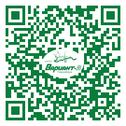 QR-код этой страницы