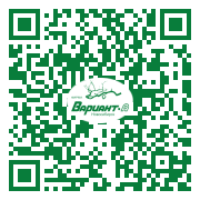 QR-код этой страницы