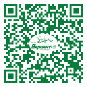 QR-код этой страницы