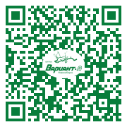 QR-код этой страницы