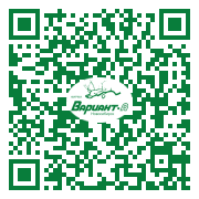 QR-код этой страницы