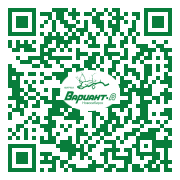 QR-код этой страницы