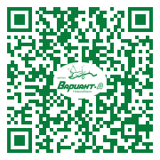 QR-код этой страницы