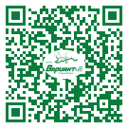 QR-код этой страницы