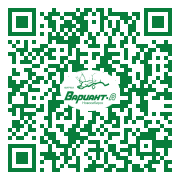 QR-код этой страницы