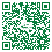 QR-код этой страницы