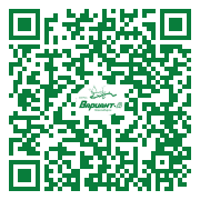 QR-код этой страницы