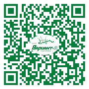 QR-код этой страницы