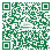 QR-код этой страницы