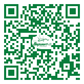 QR-код этой страницы