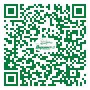 QR-код этой страницы