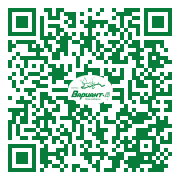 QR-код этой страницы