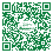 QR-код этой страницы