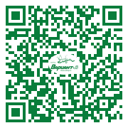 QR-код этой страницы