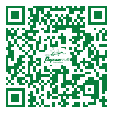 QR-код этой страницы