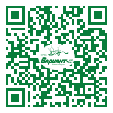 QR-код этой страницы