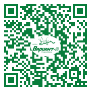 QR-код этой страницы