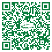 QR-код этой страницы