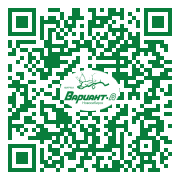 QR-код этой страницы