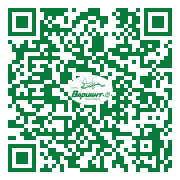 QR-код этой страницы