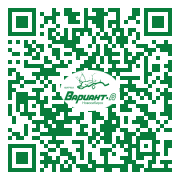 QR-код этой страницы