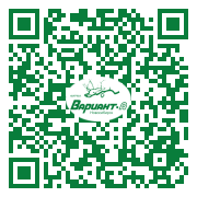 QR-код этой страницы