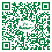 QR-код этой страницы