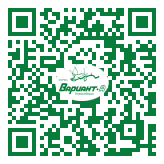 QR-код этой страницы