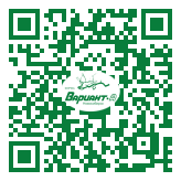 QR-код этой страницы