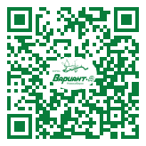 QR-код этой страницы