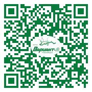 QR-код этой страницы