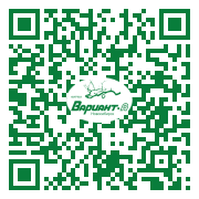 QR-код этой страницы