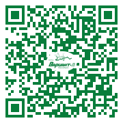 QR-код этой страницы
