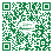 QR-код этой страницы