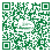 QR-код этой страницы