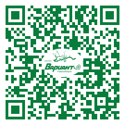 QR-код этой страницы