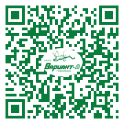 QR-код этой страницы