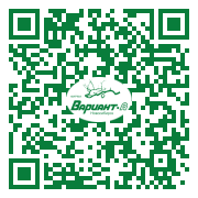 QR-код этой страницы