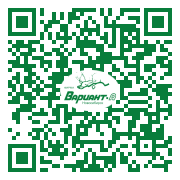 QR-код этой страницы