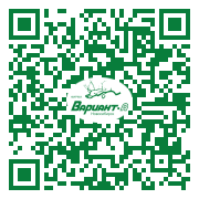 QR-код этой страницы