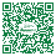 QR-код этой страницы