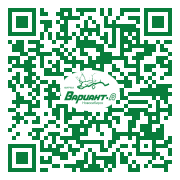 QR-код этой страницы