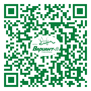 QR-код этой страницы