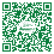 QR-код этой страницы