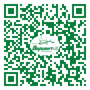 QR-код этой страницы