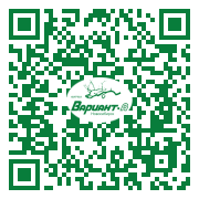 QR-код этой страницы