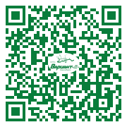 QR-код этой страницы