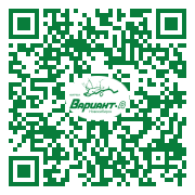 QR-код этой страницы