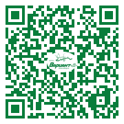 QR-код этой страницы