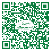 QR-код этой страницы